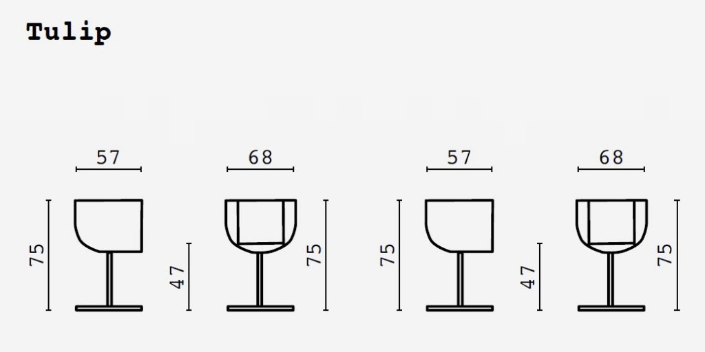 tulip measures